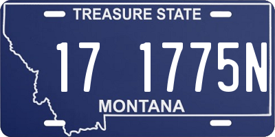 MT license plate 171775N