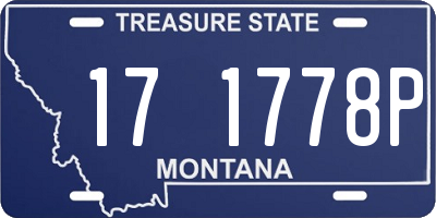 MT license plate 171778P
