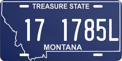 MT license plate 171785L