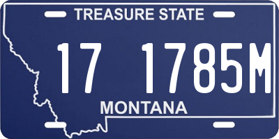MT license plate 171785M