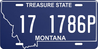 MT license plate 171786P