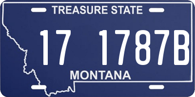 MT license plate 171787B