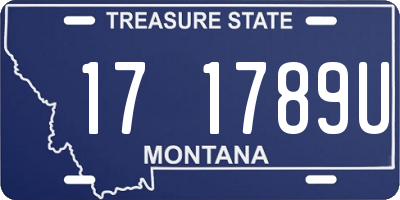 MT license plate 171789U