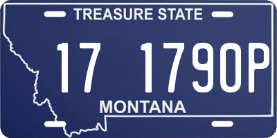 MT license plate 171790P