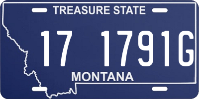 MT license plate 171791G