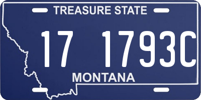 MT license plate 171793C