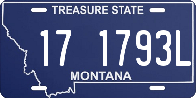 MT license plate 171793L