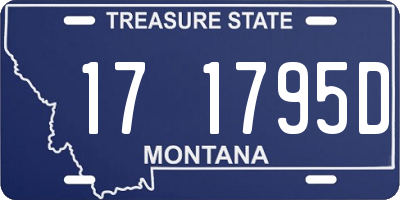 MT license plate 171795D