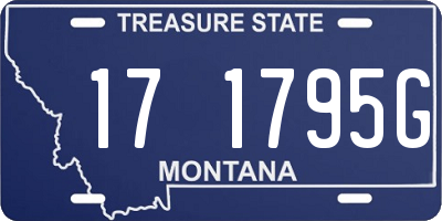 MT license plate 171795G