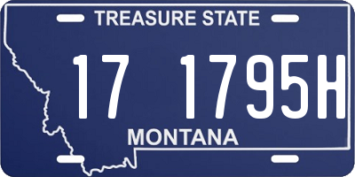 MT license plate 171795H