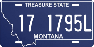 MT license plate 171795L