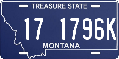 MT license plate 171796K