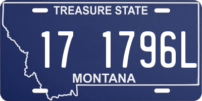 MT license plate 171796L
