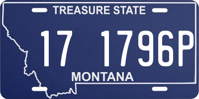 MT license plate 171796P