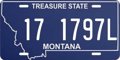 MT license plate 171797L