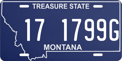 MT license plate 171799G