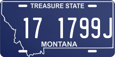 MT license plate 171799J