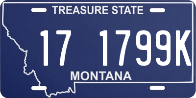 MT license plate 171799K