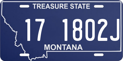 MT license plate 171802J