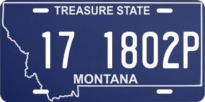 MT license plate 171802P