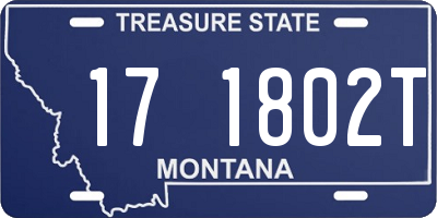 MT license plate 171802T