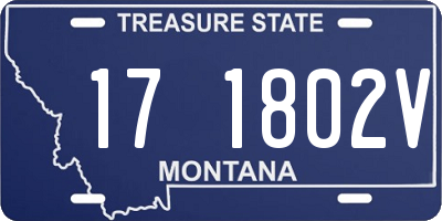 MT license plate 171802V