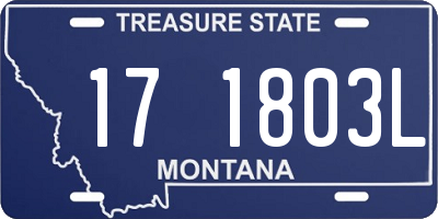 MT license plate 171803L