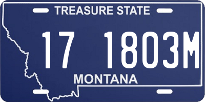 MT license plate 171803M