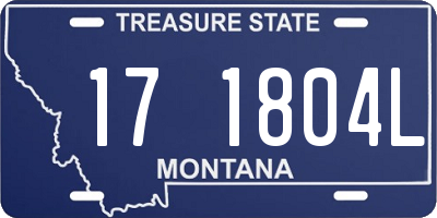 MT license plate 171804L
