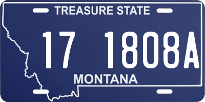 MT license plate 171808A