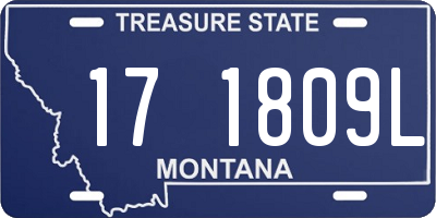 MT license plate 171809L
