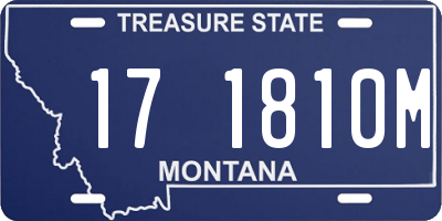 MT license plate 171810M