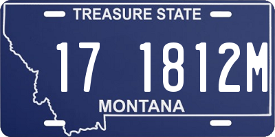 MT license plate 171812M