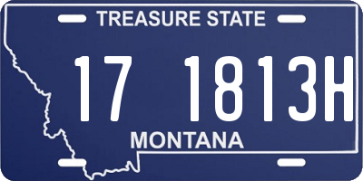 MT license plate 171813H