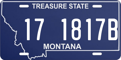 MT license plate 171817B