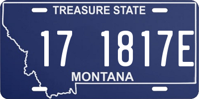 MT license plate 171817E