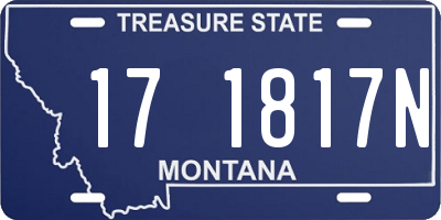 MT license plate 171817N