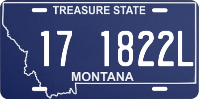 MT license plate 171822L