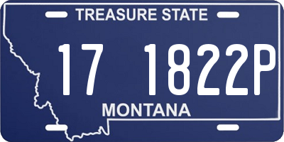 MT license plate 171822P