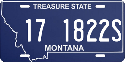 MT license plate 171822S