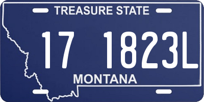 MT license plate 171823L