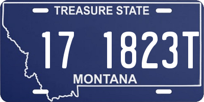 MT license plate 171823T
