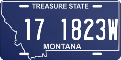 MT license plate 171823W