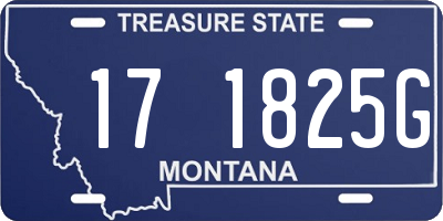 MT license plate 171825G