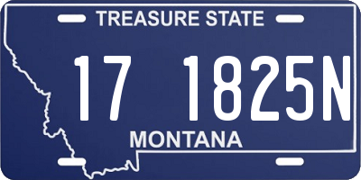 MT license plate 171825N