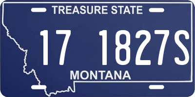 MT license plate 171827S