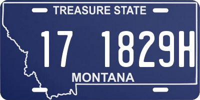MT license plate 171829H