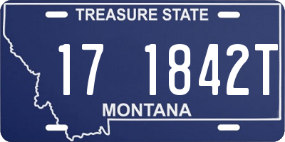 MT license plate 171842T