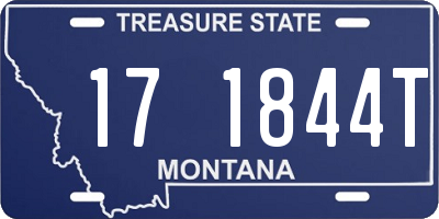 MT license plate 171844T