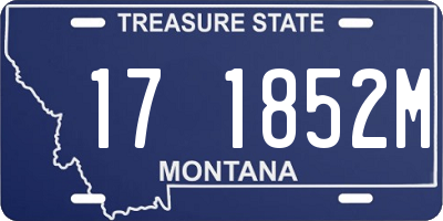MT license plate 171852M